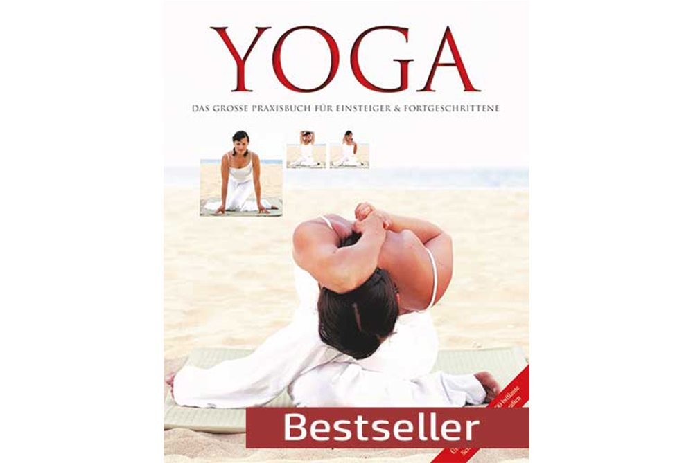 Yoga Praxisbuch Bestseller 