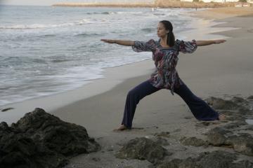 Virabhadrasana 2