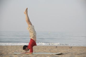 Pincha Mayurasana - Unterarmstand