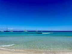 IMG-20260526-WA0051