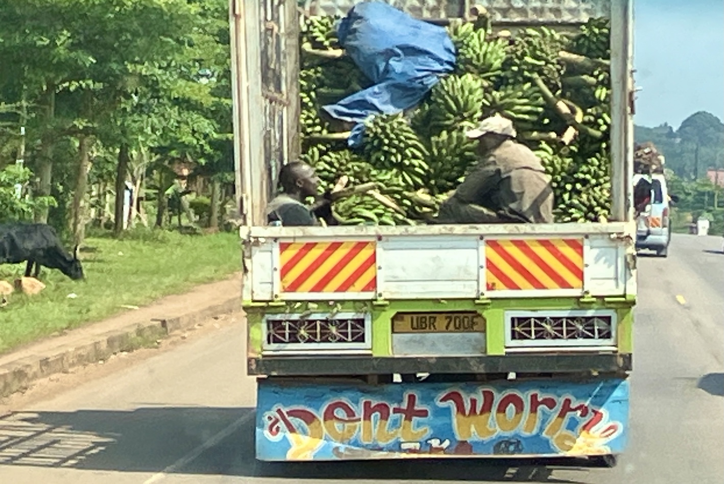 2025 01 BananenLKW