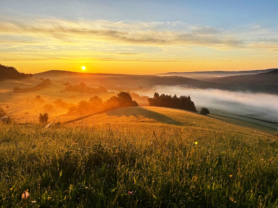 Morgenblick vom Burgberg