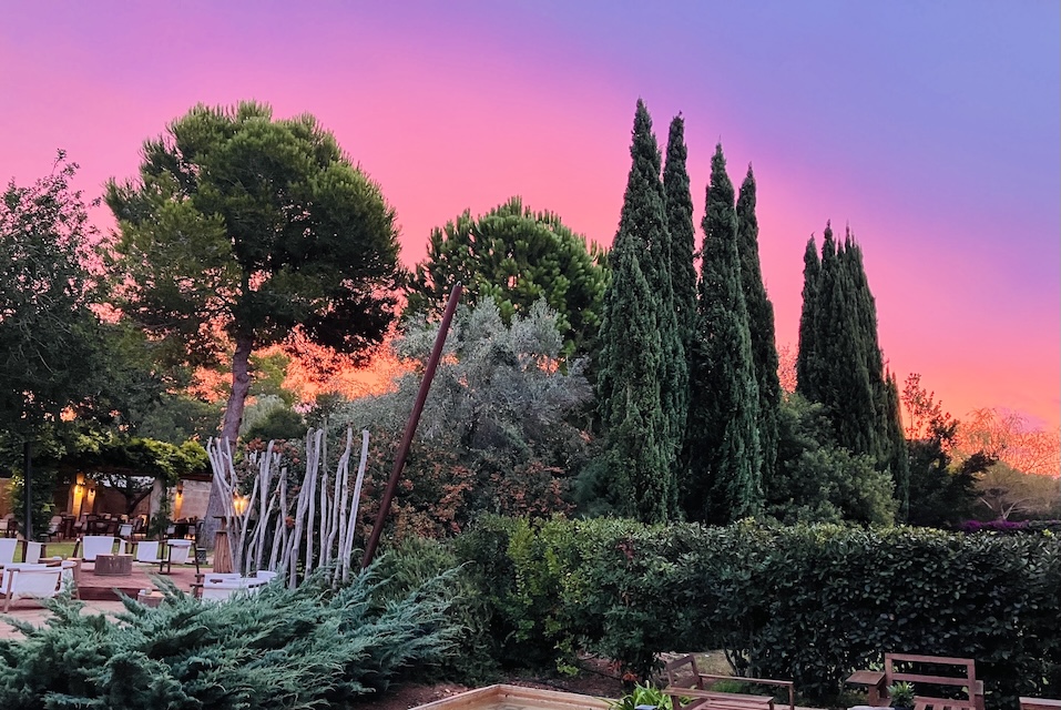 2025 FontsantaSonnenaufgang